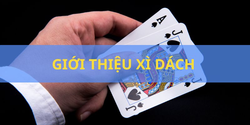 Tìm hiểu sơ lược về game bài Xì dách tại Go99