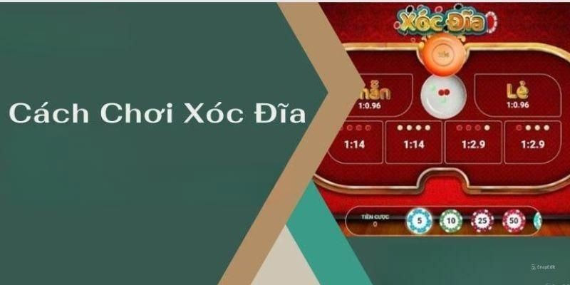 Cách chơi Xóc Đĩa cơ bản cho người mới